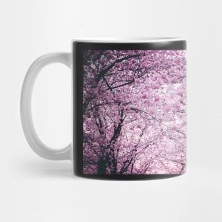 Blooming Pink Cherry Blossom Blur Mug